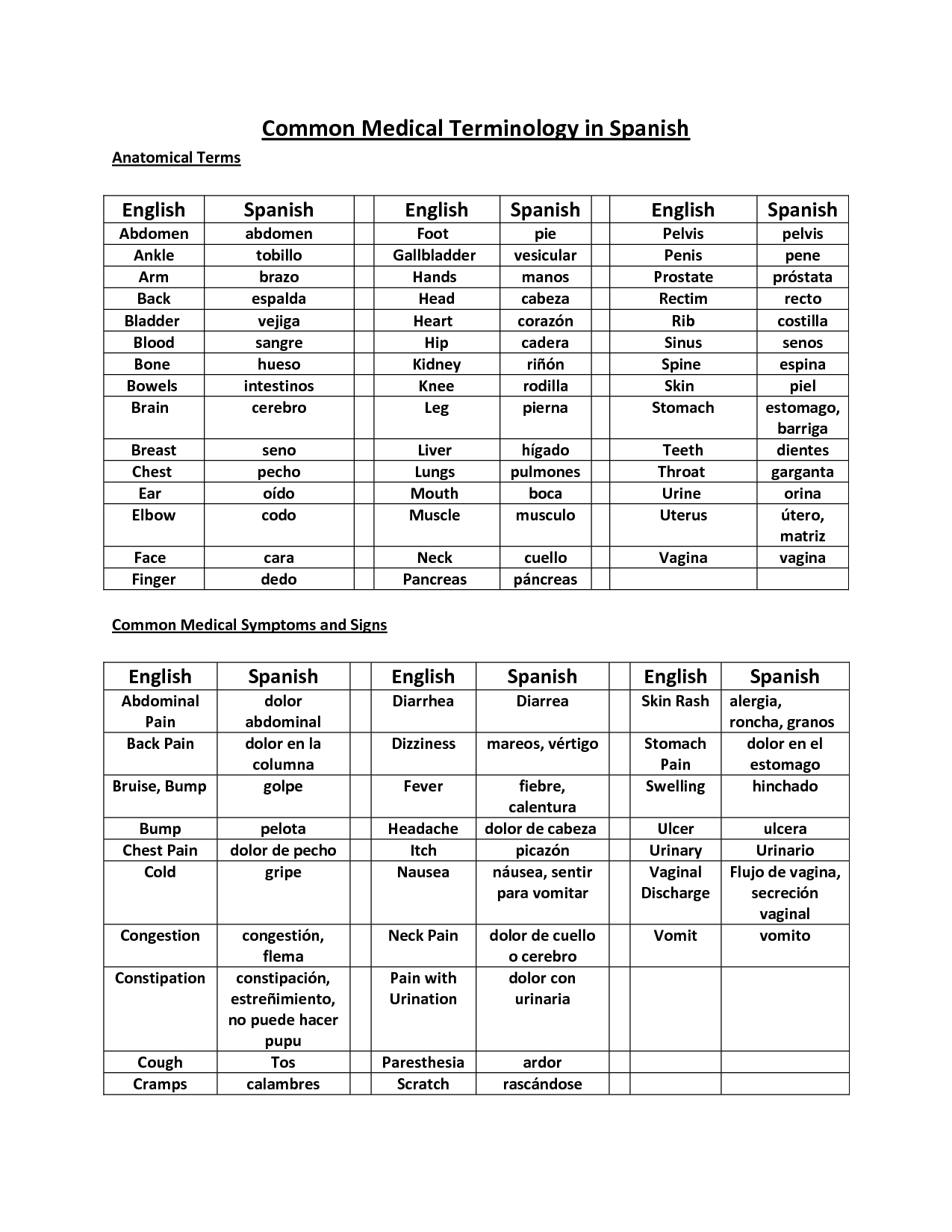 common spanish phrases printable pdf